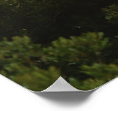 Start Space Shuttle Poster (Hoek)