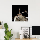 Start van LAGEOS II vanuit Shuttle Columbia (STS-5 Poster (Thuiskantoor)