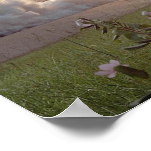 Start van Space Shuttle Challenger (STS-51F) Poster (Hoek)