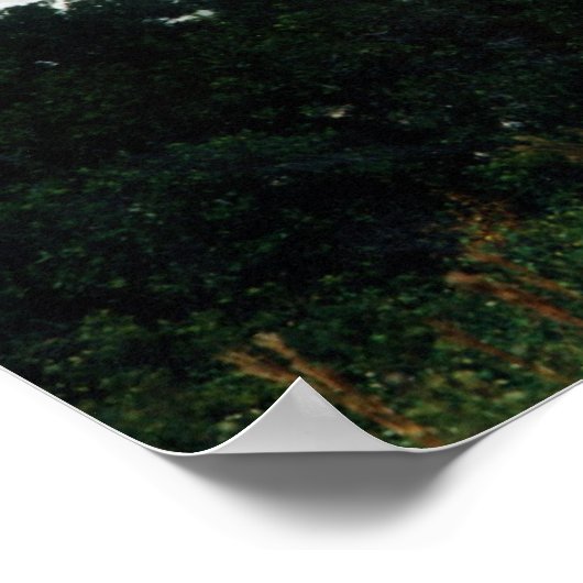 Start van Space Shuttle Discovery (STS-26) Poster (Hoek)