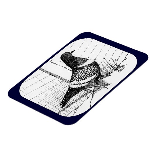 Startduif 1973 magneet (Linkerzijde)