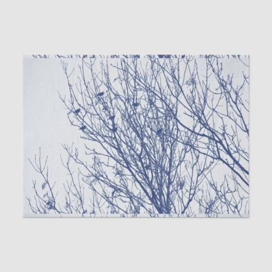 Starten in een boom - Cyanotype-effect Tissuepapier (Voorkant)