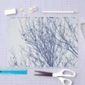 Starten in een boom - Cyanotype-effect Tissuepapier (Craft)