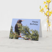 Starten in een Eigen Kaart van de Vrede van de Bou (Gele Bloem)