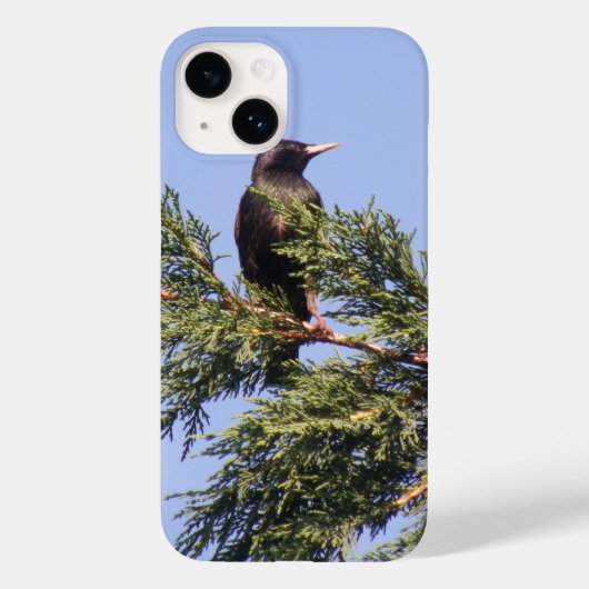 Starten in een Spruce-boom Case-Mate iPhone Case (Achterkant)