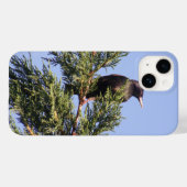 Starten in een Spruce-boom Case-Mate iPhone Case (Achterkant (horizontaal))