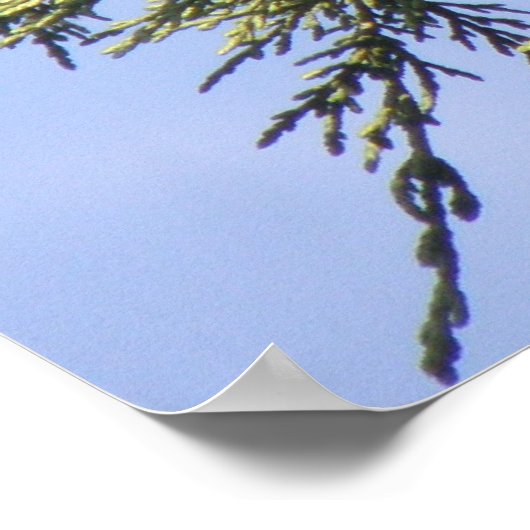 Starten in een Spruce Tree Print (Hoek)