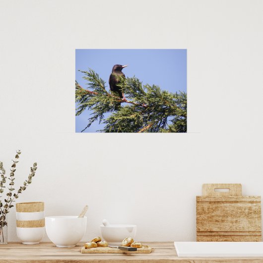 Starten in een Spruce Tree Print (Keuken)