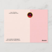 STARTEN / LADY VAN DE MOON MET STROMEN IN PINK BRIEFKAART (Achterkant)