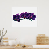 STARTEN ONDER $20 - Paarse Phalaenopsis Orchids Poster (Keuken)