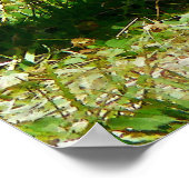 STARTEN ONDER $20 - Strutting Rooster Poster (Hoek)