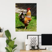 STARTEN ONDER $20 - Strutting Rooster Poster (Thuiskantoor)