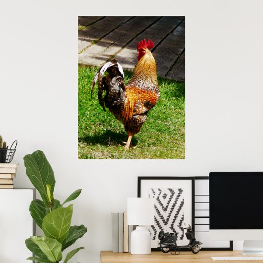STARTEN ONDER $20 - Strutting Rooster Poster (Thuiskantoor)