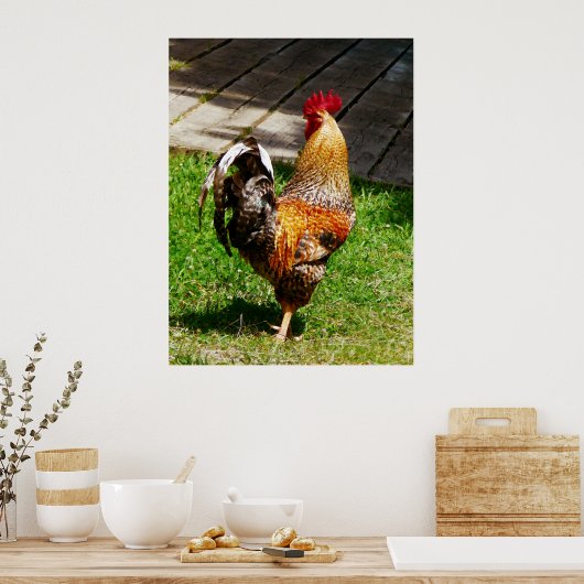STARTEN ONDER $20 - Strutting Rooster Poster (Keuken)