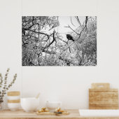 Starten op een bevroren boom poster (Keuken)