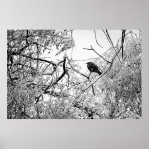 Starten op een bevroren boom poster