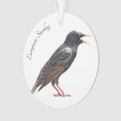 Starten Ornament (voorkant)