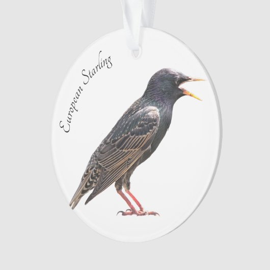 Starten Ornament (voorkant)