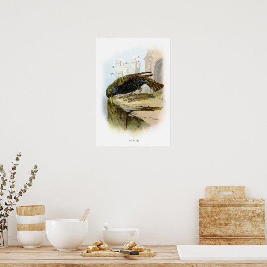 Starten Poster (Keuken)