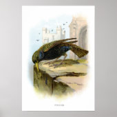 Starten Poster (Voorkant)