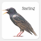 Starten Vierkante Sticker (Voorkant)