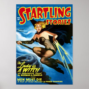 Startende verhalen — de dame is een heks poster
