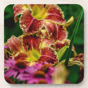 "Startle" Daylily Bier Onderzetter