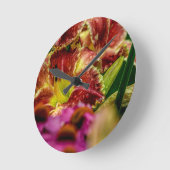 "Startle" Daylily Ronde Klok (Hoek)