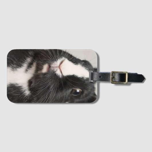 Startled Black and White Bunny Rabbit Bagagelabel (Voorkant (horizontaal))