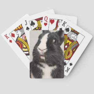 Startled Black and White Bunny Rabbit Pokerkaarten