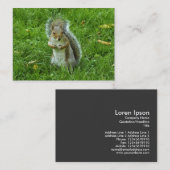 Startled Gray Squirrel, Bute Park, Cardiff Visitekaartje (Voorkant / Achterkant)