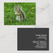 Startled Gray Squirrel, Bute Park, Cardiff Visitekaartje (Voorkant / Achterkant)
