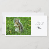 Startled Gray Squirrel - Hartelijk dank Bedankkaart (Voorkant)