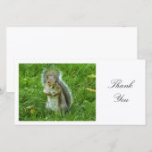 Startled Gray Squirrel - Hartelijk dank Bedankkaart (Voorkant / Achterkant)