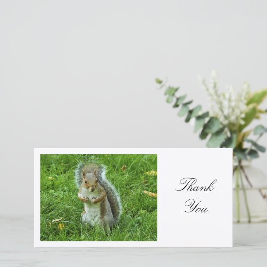 Startled Gray Squirrel - Hartelijk dank Bedankkaart (Staand voorkant)