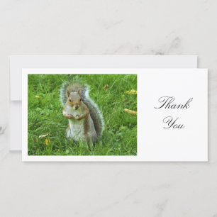 Startled Gray Squirrel - Hartelijk dank Bedankkaart