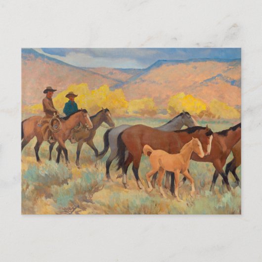 Startpagina, 1942 van Maynard Dixon Briefkaart (Voorkant)