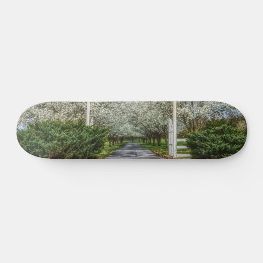Startpagina voor lente persoonlijk skateboard (Horizontaal)
