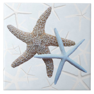 Startvis Decoratief Square Tegel Tegeltje