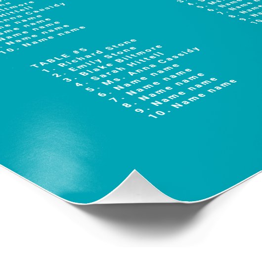 Startvisbride in Groom Large Seating Chart Poster (Hoek)