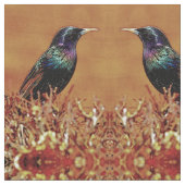 Startvogel Stof (Close Up)