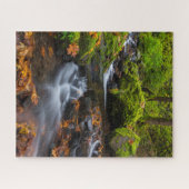 Starvation Creek Falls | Columbia Gorge, Oregon Legpuzzel (Horizontaal)