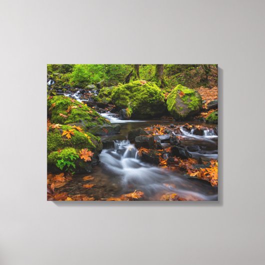 Starvation Creek Herfsten | Columbia Gorge, Oregon Canvas Afdruk (Voorkant)