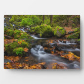 Starvation Creek Herfsten | Columbia Gorge, Oregon Fotoplaat (voorkant)