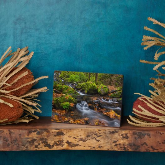 Starvation Creek Herfsten | Columbia Gorge, Oregon Fotoplaat (Zijkant)