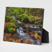 Starvation Creek Herfsten | Columbia Gorge, Oregon Fotoplaat (Zijkant)