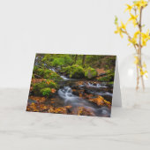 Starvation Creek Herfsten | Columbia Gorge, Oregon Kaart (Gele Bloem)