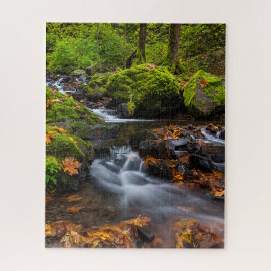 Starvation Creek Herfsten | Columbia Gorge, Oregon Legpuzzel (Verticaal)