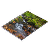 Starvation Creek Herfsten | Columbia Gorge, Oregon Notitieboek (Linkerzijde)