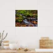 Starvation Creek Herfsten | Columbia Gorge, Oregon Poster (Keuken)